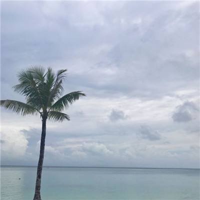 异世界ol单机游戏下载