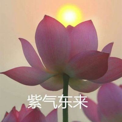 军师诀安卓下载